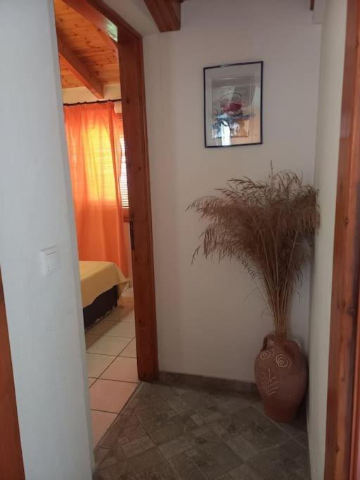 Δίχωρο Στούντιο Στον Κέντρο Του Αρμενιστή Apartment Арменистис Екстериор снимка